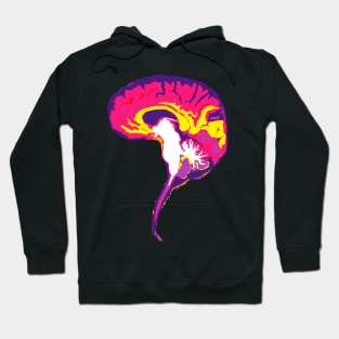 Brain with Brainstem in Vibrant Colors Hoodie